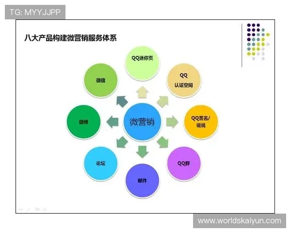 开云总站营销策略与品牌推广实践分享提升市场竞争力