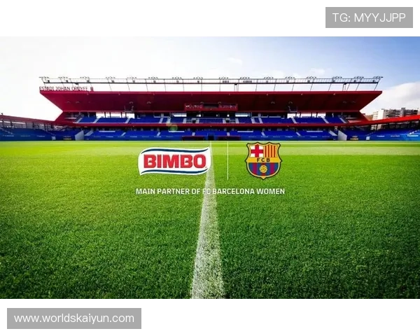 开云体育国际开户流程详解助你轻松开启全球体育博彩新体验