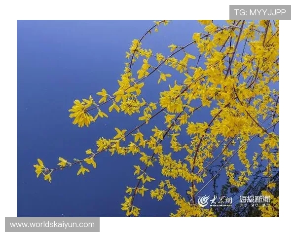 开云平台取款步骤详解及注意事项，帮助用户顺利完成资金提取