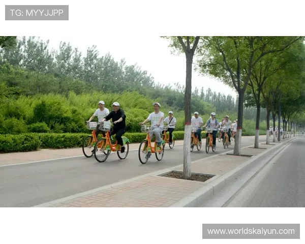 开云电动皮卡官方网站帮助用户了解环保节能优势推动绿色出行的最佳选择