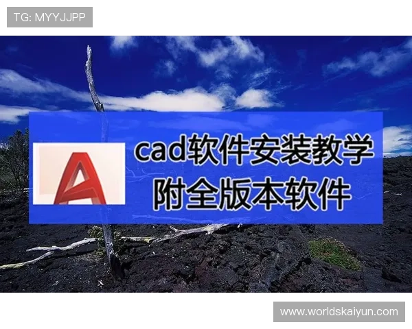 详细步骤解析开云体验app官网安装流程，确保用户顺利完成软件下载与安装